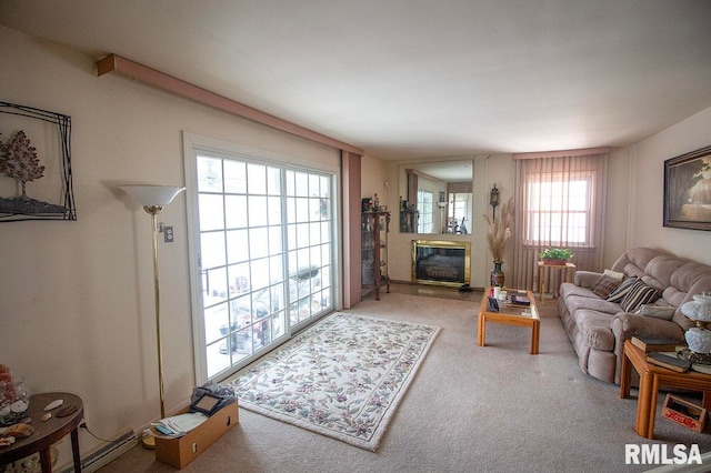 living room with carpet floors