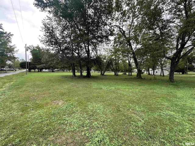 000 Sunnyslope St, West Frankfort, IL 62896 - photo 2