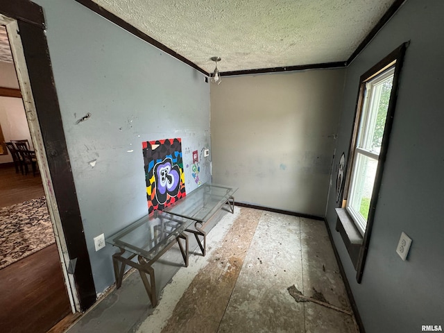 interior space with ornamental molding, a textured ceiling, and hardwood / wood-style floors