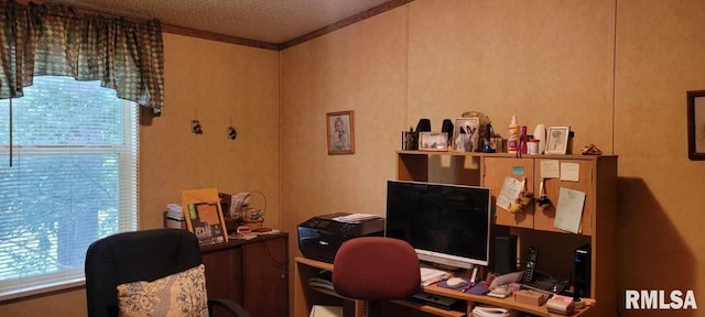 office area with a textured ceiling, crown molding, and a healthy amount of sunlight