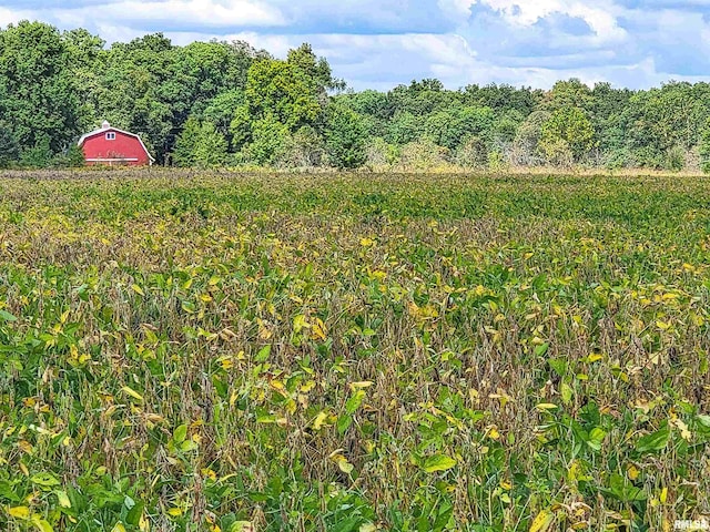 TRACT1 Coon Creek Rd, Flora, IL 62839