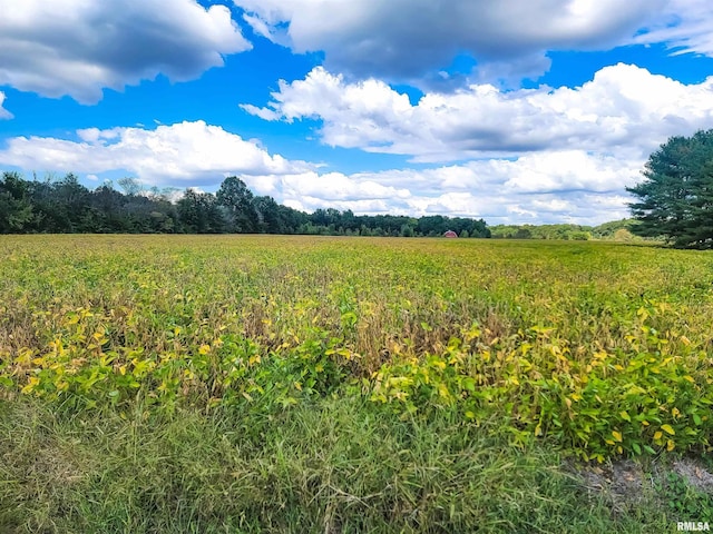 TRACT1 Coon Creek Rd, Flora, IL 62839