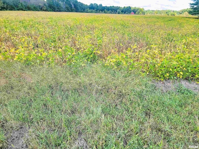 TRACT1 Coon Creek Rd, Flora, IL 62839