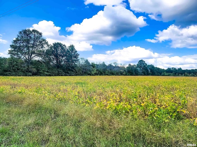 TRACT1 Coon Creek Rd, Flora, IL 62839