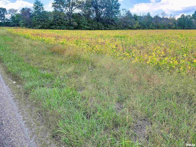 TRACT1 Coon Creek Rd, Flora, IL 62839