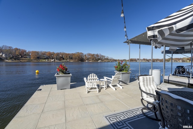 dock area with a water view