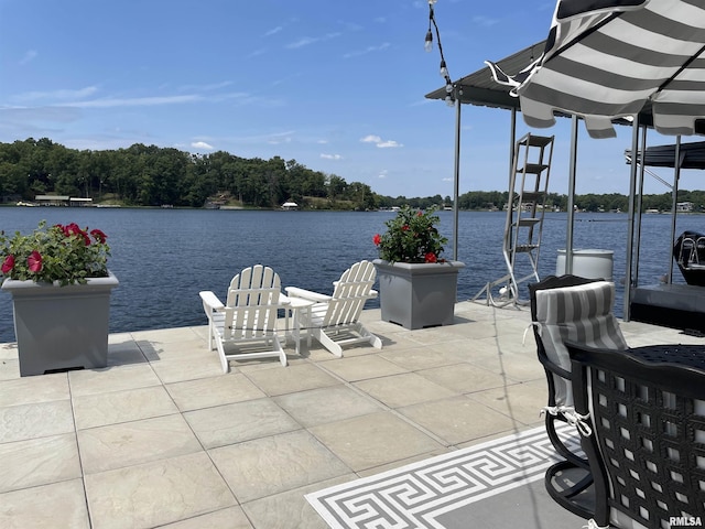 dock area with a water view