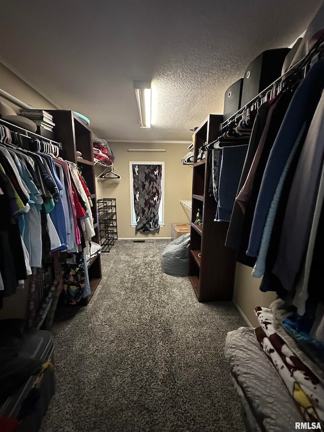 spacious closet featuring carpet flooring