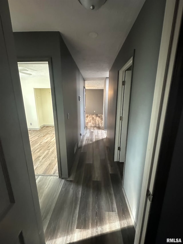 hall with dark hardwood / wood-style floors