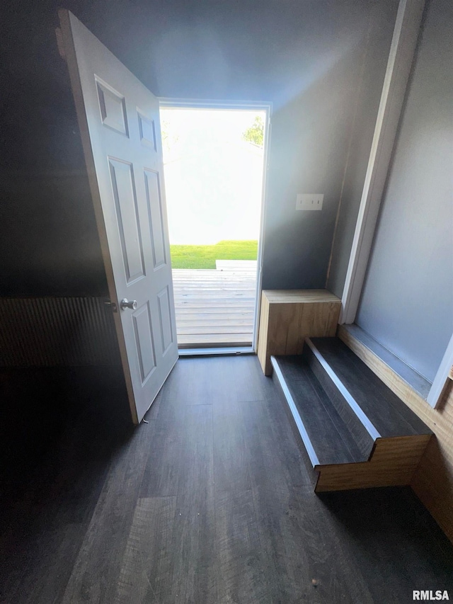 doorway to outside featuring dark wood-type flooring