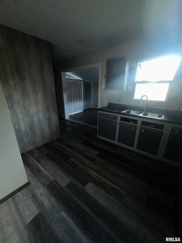 kitchen featuring dark hardwood / wood-style floors and sink