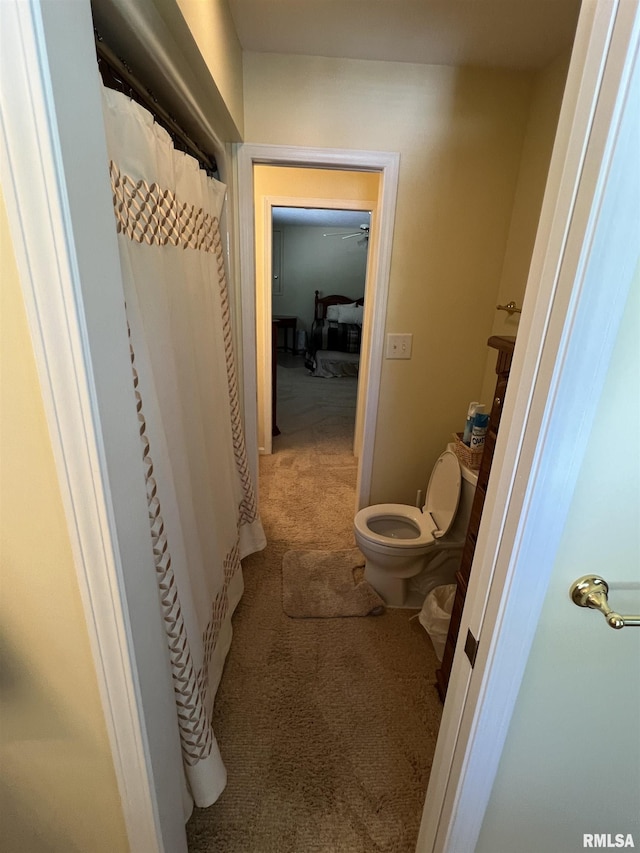 1803 N Dawn Dr, Marion, IL 62959 - bathroom with toilet and curtained shower