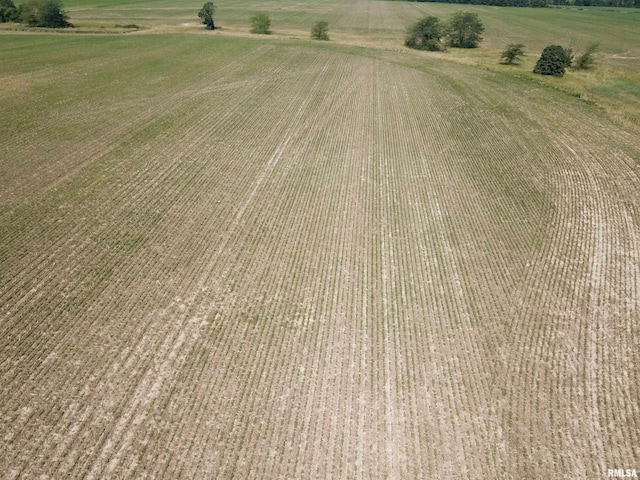 000 N Stanford Rd, Flora, IL 62899