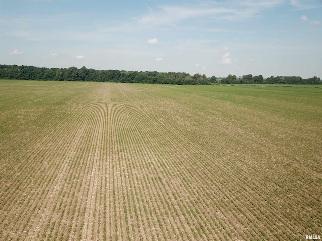 000 N Stanford Rd, Flora, IL 62899