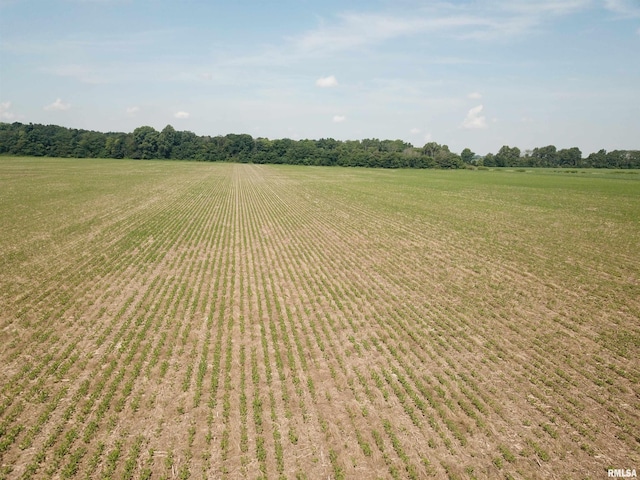 000 N Stanford Rd, Flora, IL 62899