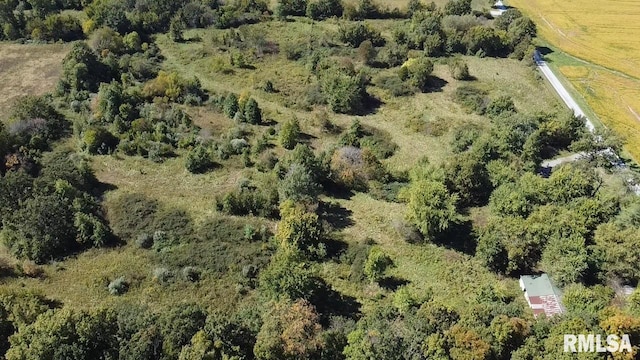 10929 E Davis Rd, Mount Vernon, IL 62864