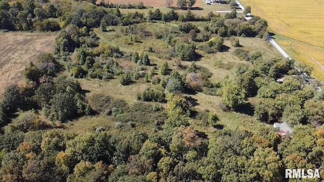 10929 E Davis Rd, Mount Vernon, IL 62864