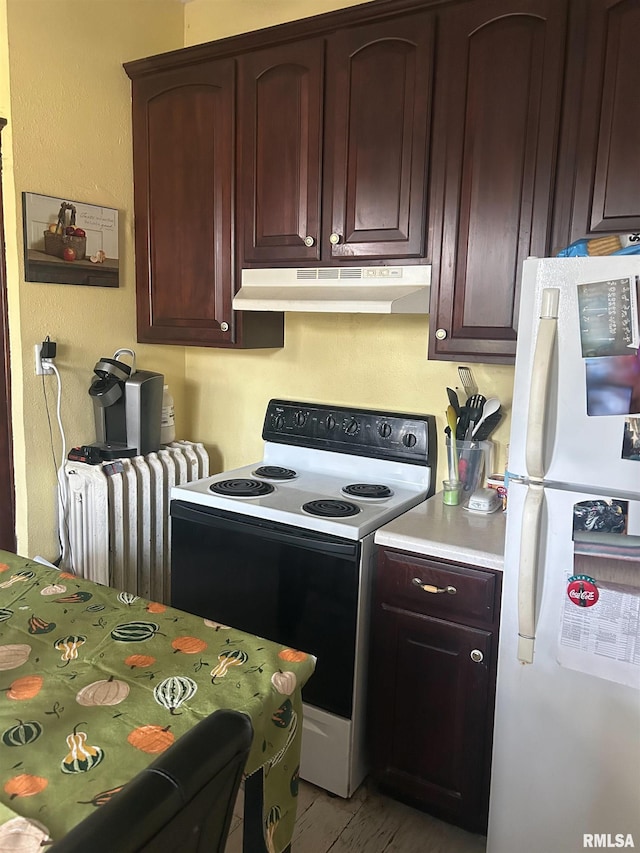 kitchen with radiator, dark brown cabinetry, and white appliances