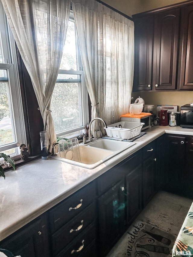 kitchen with dark brown cabinets, a healthy amount of sunlight, and sink