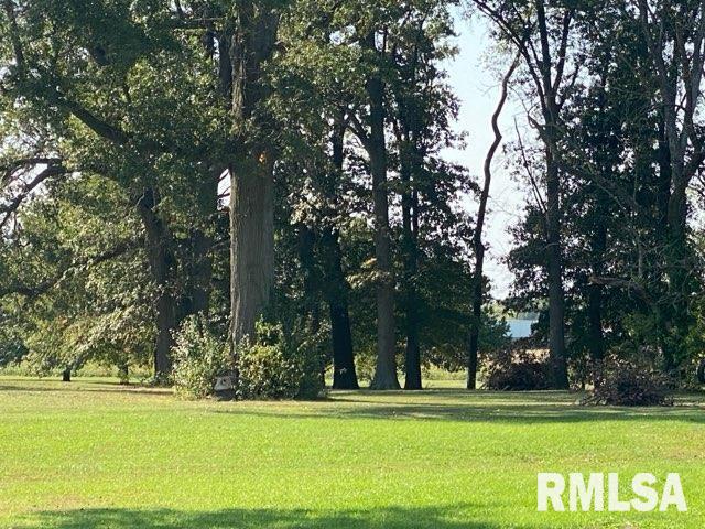 0000 Elm St, Ina IL, 62846 land for sale