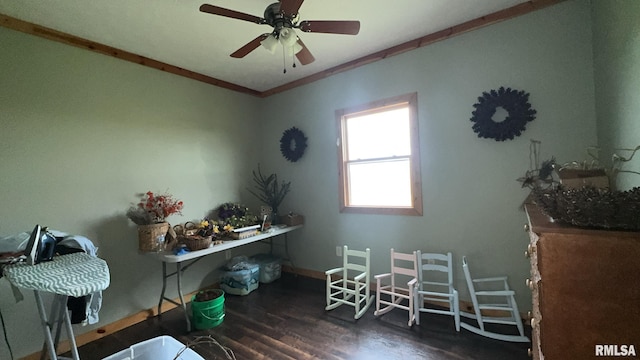 home office featuring ceiling fan, ornamental molding, and dark hardwood / wood-style flooring