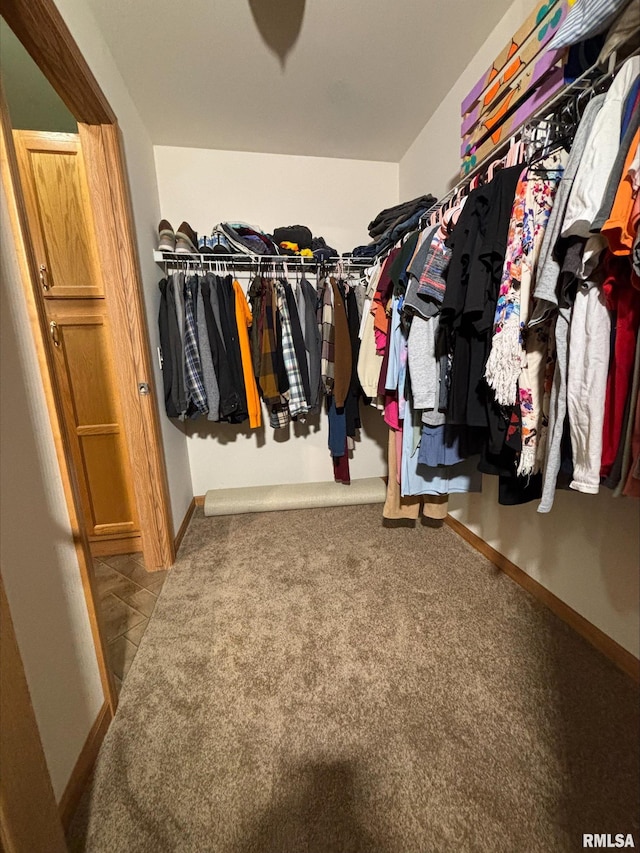 spacious closet featuring carpet floors