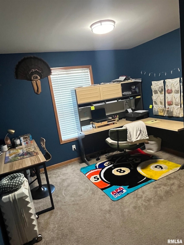 bedroom featuring carpet flooring