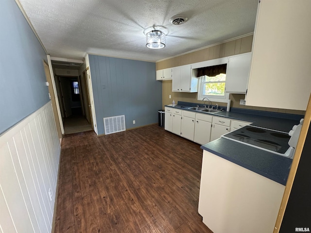 kitchen with white cabinetry, a textured ceiling, ornamental molding, dark wood-type flooring, and sink