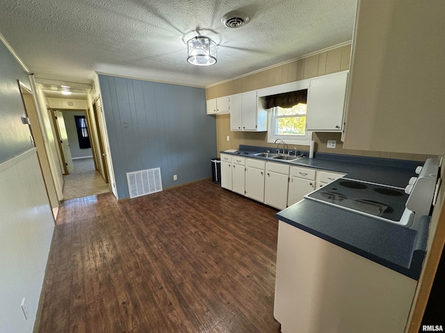 kitchen featuring dark hardwood / wood-style floors, ornamental molding, sink, white cabinetry, and a textured ceiling