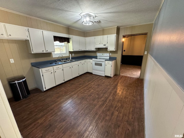 kitchen with white cabinets, electric range, ornamental molding, dark hardwood / wood-style floors, and sink