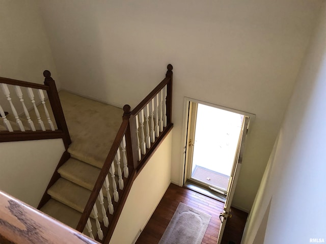 staircase featuring wood-type flooring