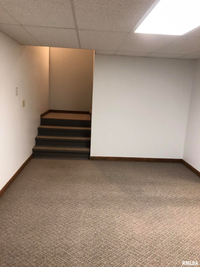 basement featuring a drop ceiling and carpet floors