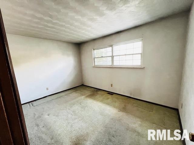 empty room featuring light carpet and a textured ceiling