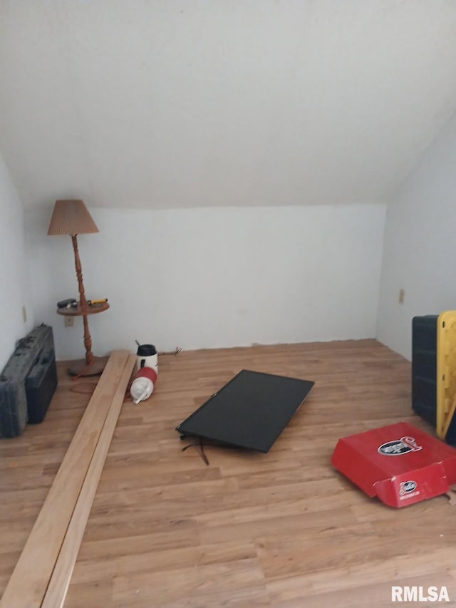 9735 Branch Rd, Oakdale, IL 62268 - workout area with vaulted ceiling and wood finished floors