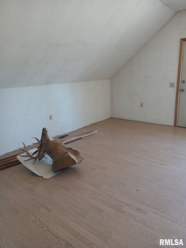 9735 Branch Rd, Oakdale, IL 62268 - additional living space with light wood-type flooring and lofted ceiling