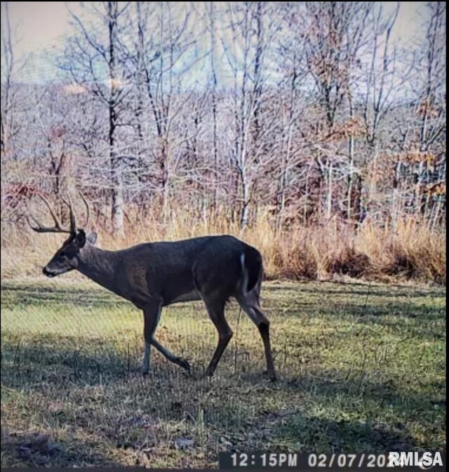 000 Kedron Rd, Equality, IL 62934