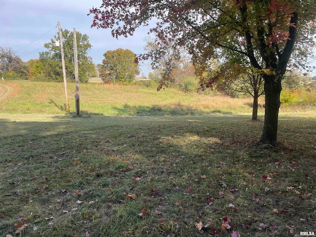 view of yard featuring a rural view