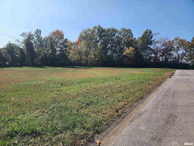 000 Meadowbrook Ln, Carbondale, IL 62901 - photo 1