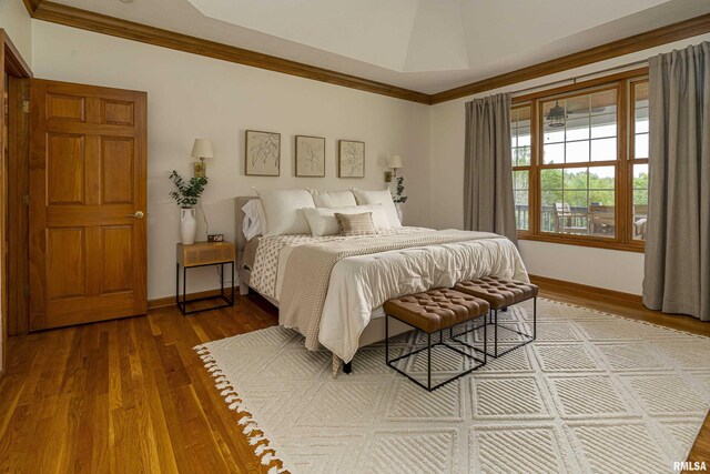 5345 State Route 127th Hwy, Cobden, IL 62920 - bedroom with wood finished floors, ornamental molding, and baseboards
