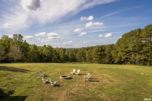 5345 State Route 127th Hwy, Cobden, IL 62920 - view of grassy yard with an outdoor fire pit and a view of trees