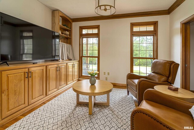 5345 State Route 127th Hwy, Cobden, IL 62920 - living room featuring crown molding, healthy amount of natural light, light wood-style flooring, and baseboards