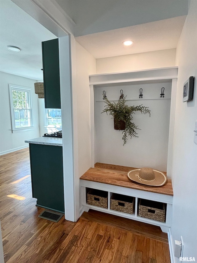 mudroom with wood-type flooring