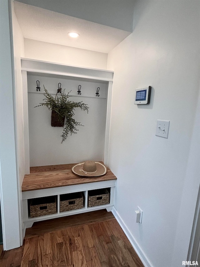 mudroom with dark hardwood / wood-style floors