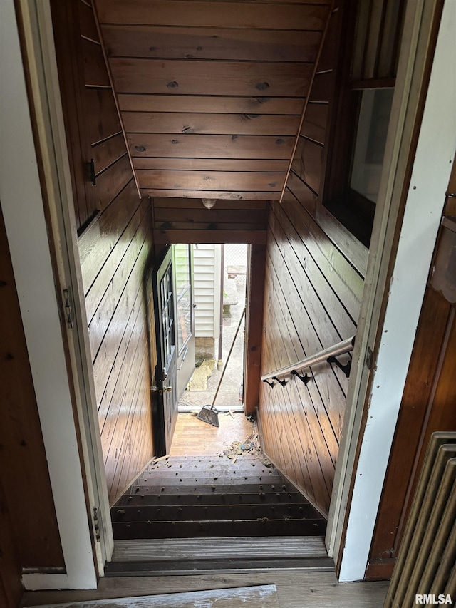 staircase featuring wood walls and hardwood / wood-style floors