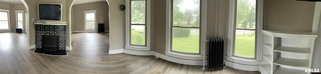 doorway to outside featuring a wealth of natural light, radiator heating unit, and wood-type flooring