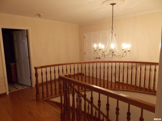 hallway featuring a notable chandelier, wood-type flooring, and crown molding