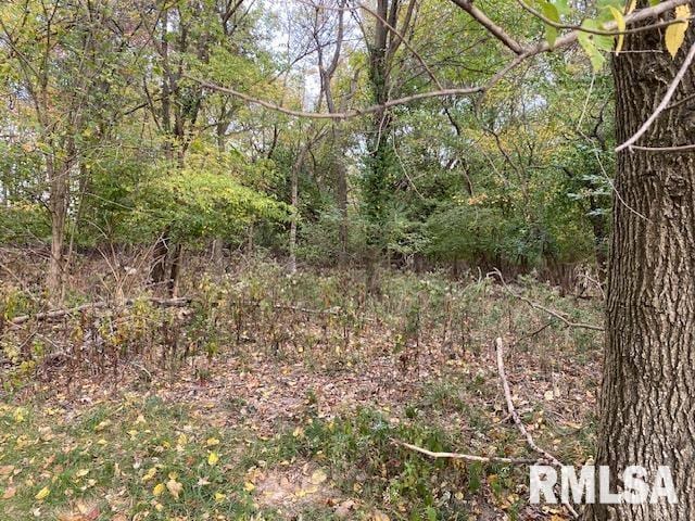 000 Barnett Ave, Carterville, IL 62918 - photo 1