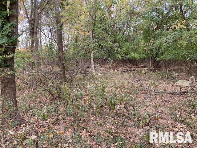 000 Barnett Ave, Carterville, IL 62918 - photo 2