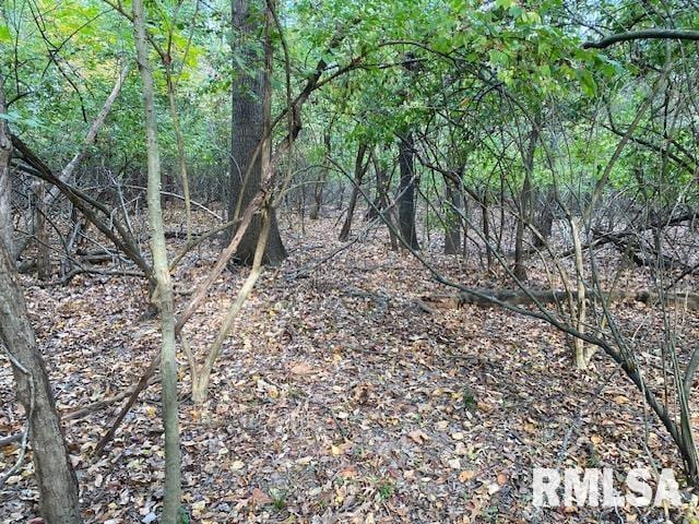 000 Barnett Ave, Carterville, IL 62918 - photo 4