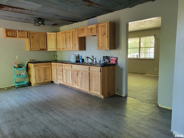 kitchen with hardwood / wood-style flooring, sink, and light brown cabinets